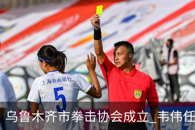 乌鲁木齐市拳击协会成立 韦伟任会长